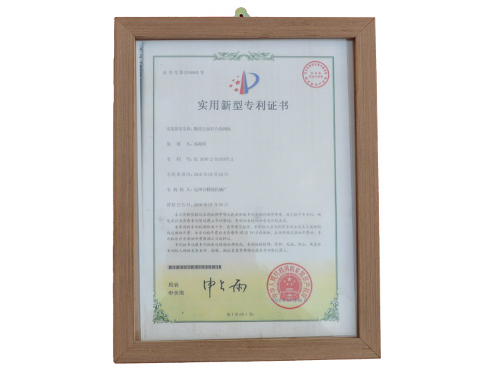 實(shí)用新型專利證書8